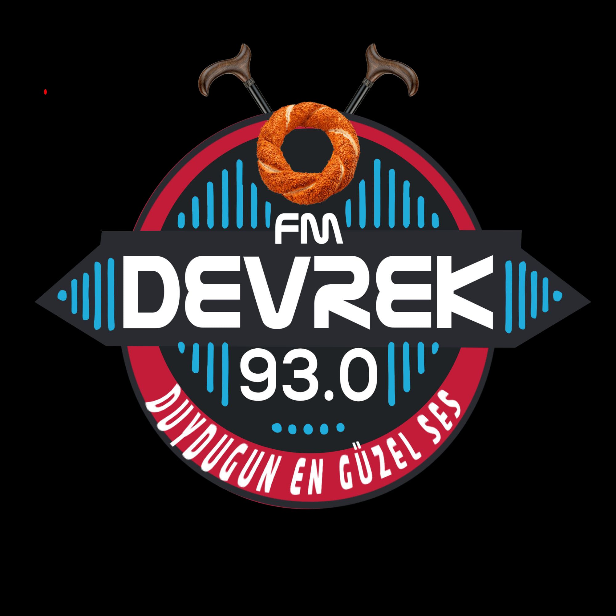Programcı Adı